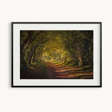 Sunken Lane and Autumn trees framed print