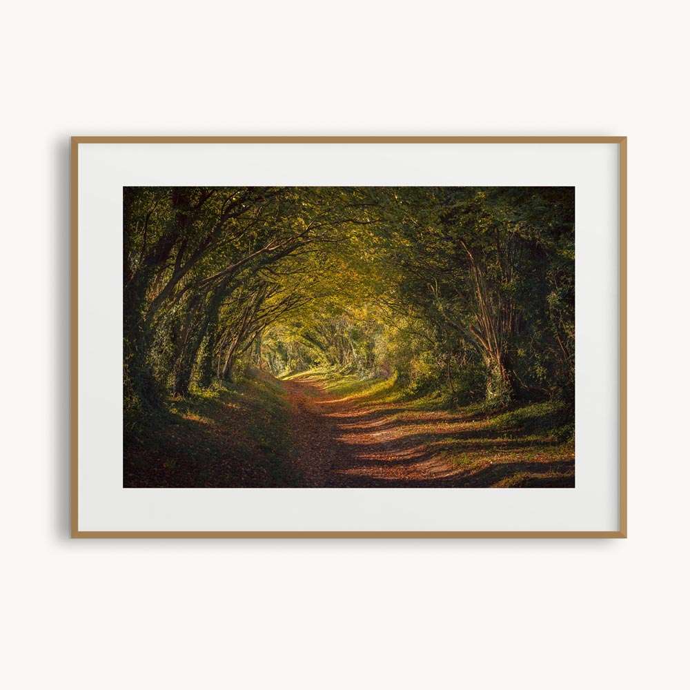 The Forgotten Road <div class="prod-title-secondary">Halnaker Roman Road</class></div> - Image 3