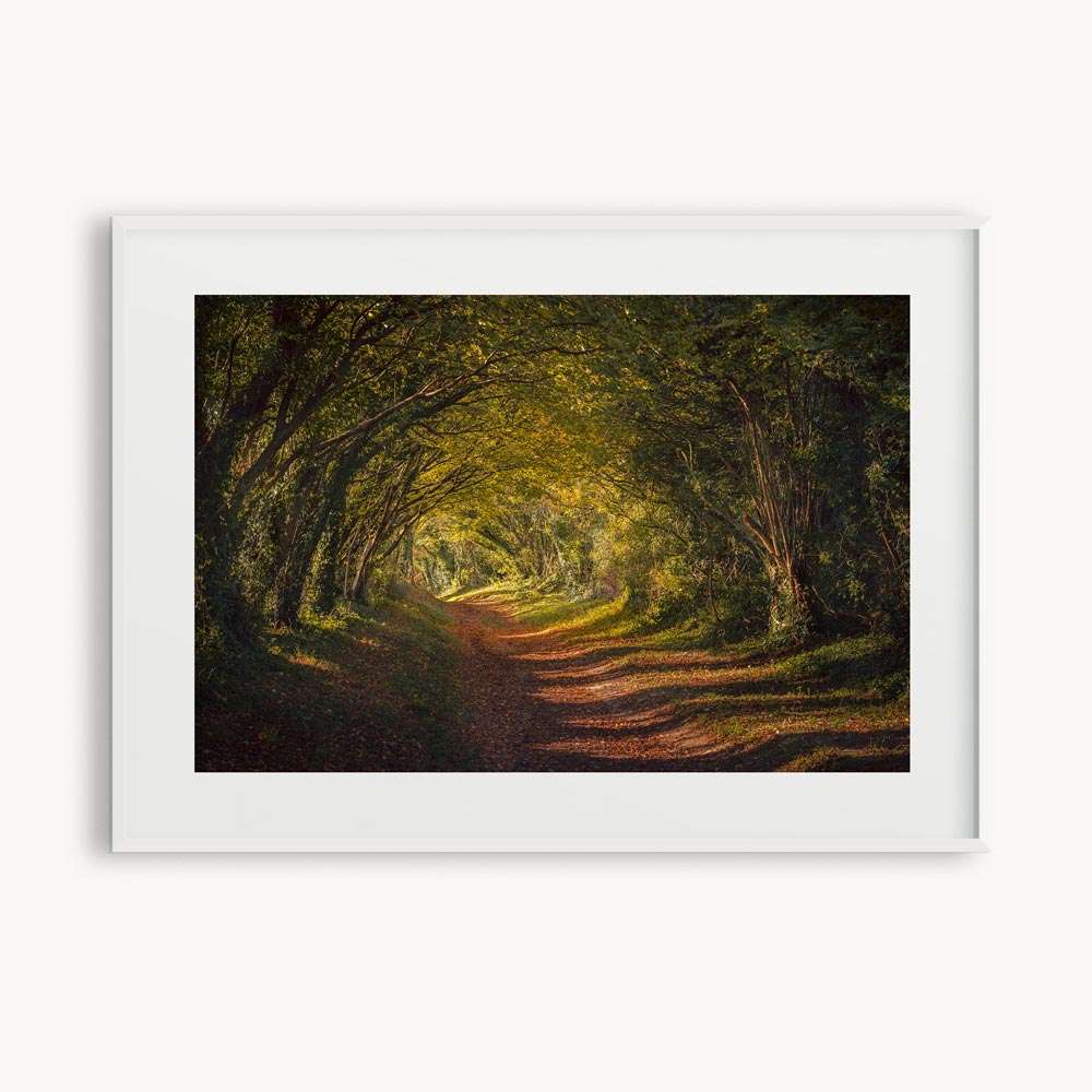 The Forgotten Road <div class="prod-title-secondary">Halnaker Roman Road</class></div> - Image 2