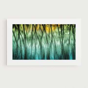 Limbs <div class="prod-title-secondary">Abstract Seascape</class></div>