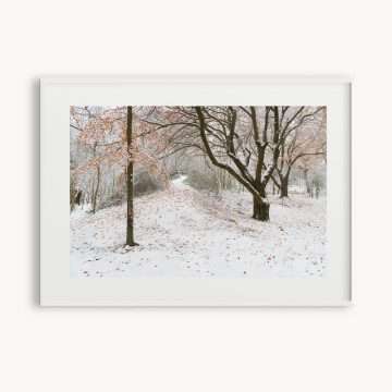Snowy Sussex Downs Framed Landscape Print